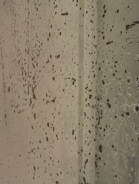 Image 3 of Mirror with Bevelled and Foxed Glass