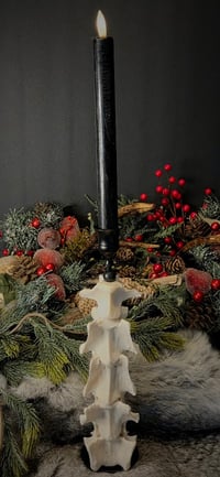 Deer Vertebrae Candlestick #3