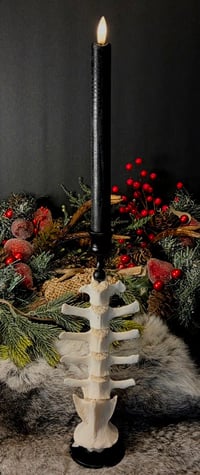 Image 1 of Deer Vertebrae Candlestick #5