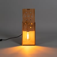 Image 2 of Bird Box Lamp