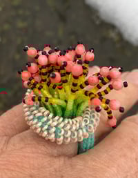 Image 1 of Anemone Ring