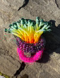 Image 2 of Anemone Ring 2