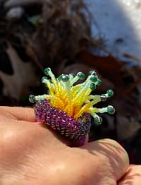 Image 3 of Anemone Ring 2