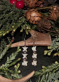 Vertebrae dangles #5
