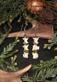 Vertebrae dangles #6