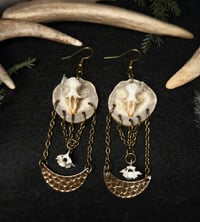 Antler slice dangles