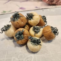 Image 4 of PUN'KIN SPICE