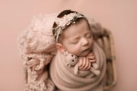 Image 2 of BLUSH COLLECTION | BACKDROP