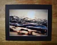 Image 4 of Ripple - a4 Mounted Print.