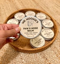 Image 1 of Paw & Nose Balm for Dogs (Unscented + Lick-Safe)