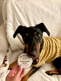Image 4 of Paw & Nose Balm for Dogs (Unscented + Lick-Safe)
