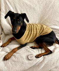 Image 5 of Paw & Nose Balm for Dogs (Unscented + Lick-Safe)