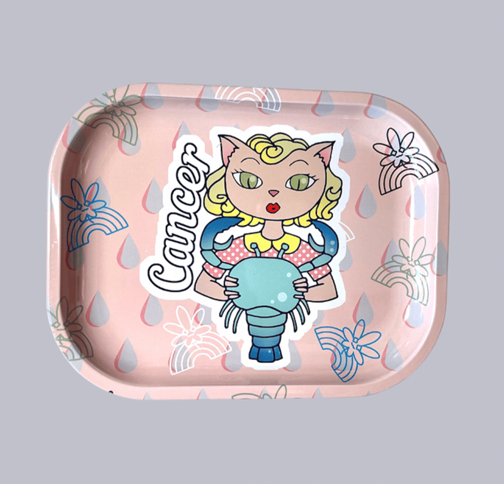 Image of Zodicat Trays