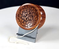 Image 5 of Queensland Australia Silver Wattle PICKLE yo-yo, #2025-276