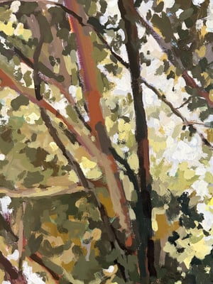 Image of Victoria MacMillan | CANYON PARK #5