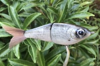 Image 7 of SPEEDBAITS Custom Airbrushed Glide Bait 8788