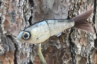 Image 13 of SPEEDBAITS Custom Airbrushed Glide Bait 8788