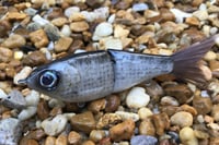 Image 3 of SPEEDBAITS Custom Airbrushed Glide Bait 8788