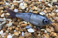 Image 6 of SPEEDBAITS Custom Airbrushed Glide Bait 8788