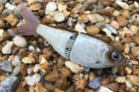 Image 2 of SPEEDBAITS Custom Airbrushed Glide Bait 1415