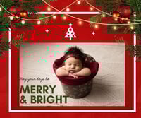 Image 1 of December newborn special 
