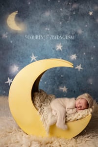 Image 3 of December newborn special 