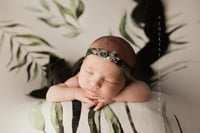 Image 4 of December newborn special 