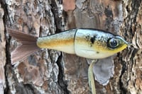 Image 6 of SPEEDBAITS Custom Airbrushed Glide Bait 4415