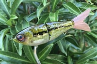 Image 5 of SPEEDBAITS Custom Airbrushed Glide Bait 2718