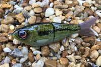 Image 1 of SPEEDBAITS Custom Airbrushed Glide Bait 2718