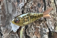 Image 9 of  SPEEDBAITS Custom Airbrushed Glide Bait 9490