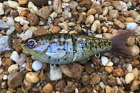 Image 2 of  SPEEDBAITS Custom Airbrushed Glide Bait 9490