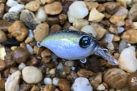 Image 2 of SPEEDBAITS Custom Airbrushed Crankbait BFS 3821