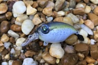 Image 1 of SPEEDBAITS Custom Airbrushed Crankbait BFS 3821