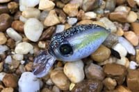 Image 3 of SPEEDBAITS Custom Airbrushed Crankbait BFS 3821