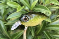 Image 3 of SPEEDBAITS Custom Airbrushed Crankbait BFS 146