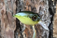 Image 6 of SPEEDBAITS Custom Airbrushed Crankbait BFS 146