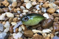 Image 1 of SPEEDBAITS Custom Airbrushed Crankbait BFS 146