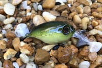 Image 2 of SPEEDBAITS Custom Airbrushed Crankbait BFS 146
