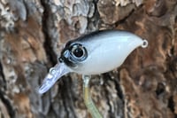 Image 11 of SPEEDBAITS Custom Airbrushed Crankbait BFS 118