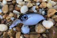 Image 5 of SPEEDBAITS Custom Airbrushed Crankbait BFS 118