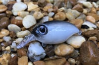 Image 3 of SPEEDBAITS Custom Airbrushed Crankbait BFS 118