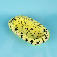 Image 2 of SPLATTER DISH