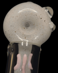 Image 3 of chew-zilla dragon