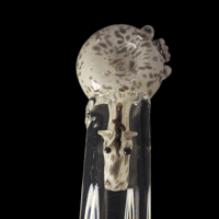 Image 4 of cheif -appaloosa horse