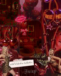 Image 1 of Valentine Session-deposit