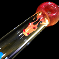 Image 3 of crimson the dragon