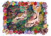 LOS HONGOS DE MAROSA