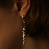 Image 1 of Advent day 1- sprout sticks in silver