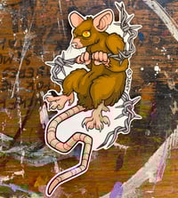 Image 4 of Pack of Rats
